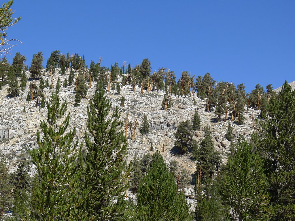 SouthernSierra 484
